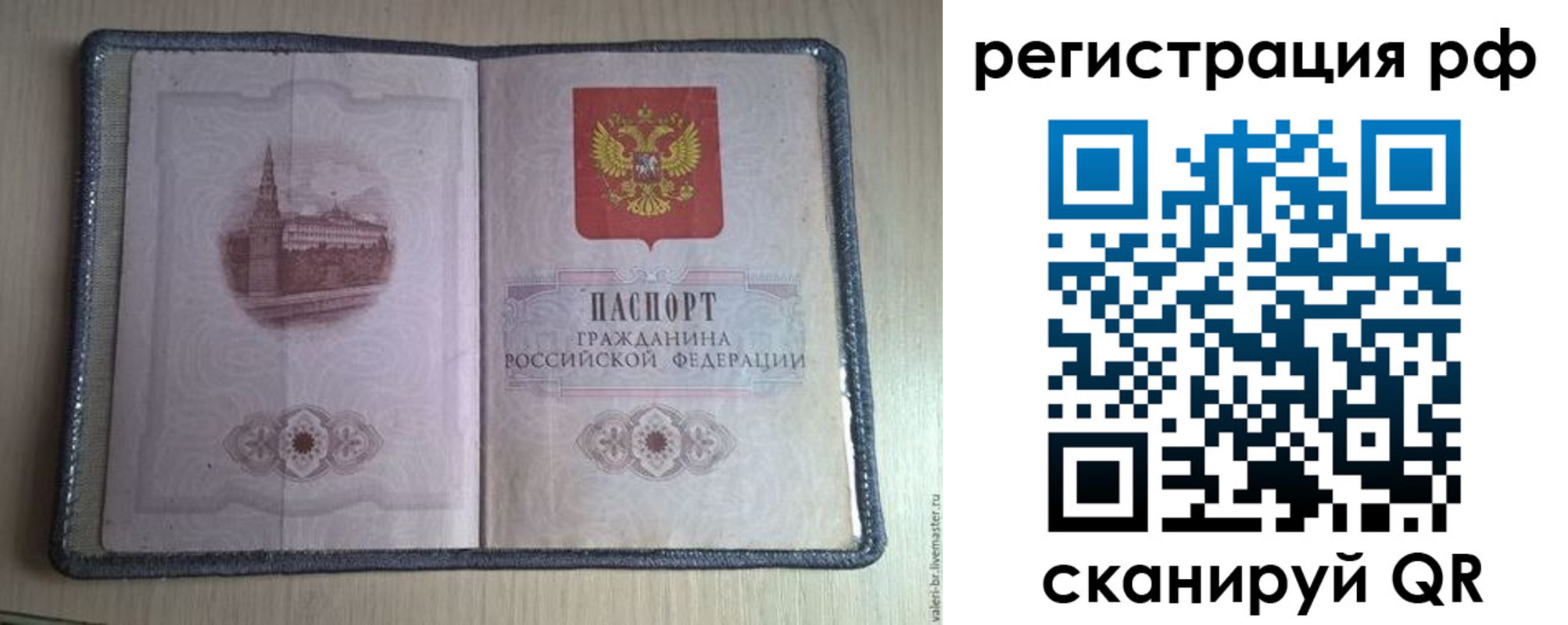 прописка поиск в Калмыкии